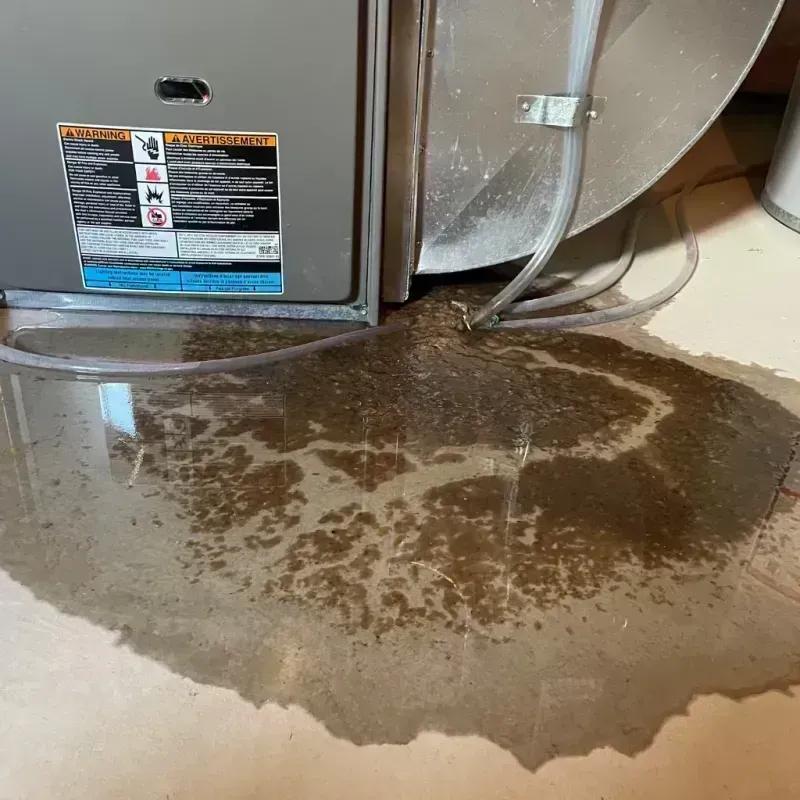 Appliance Leak Cleanup in East Peoria, IL